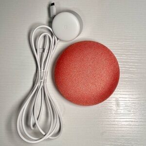 Google Home Mini Salmon